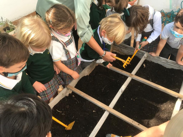 PRIMERAS SIEMBRAS EN EL HUERTO ESCOLAR. CURSO 2020/21