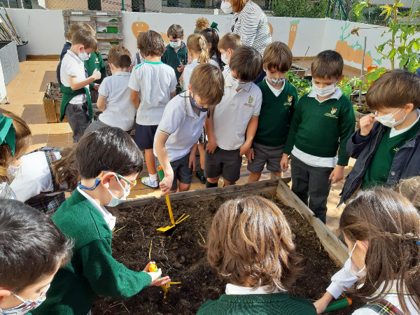NUESTROS ALUMNOS DE INFANTIL Y  PRIMARIA MANTIENEN EL HUERTO ESCOLAR.