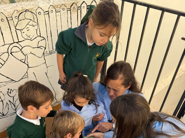 CLASE DE CONOCIMIENTO DEL ENTORNO EN EL HUERTO ESCOLAR.